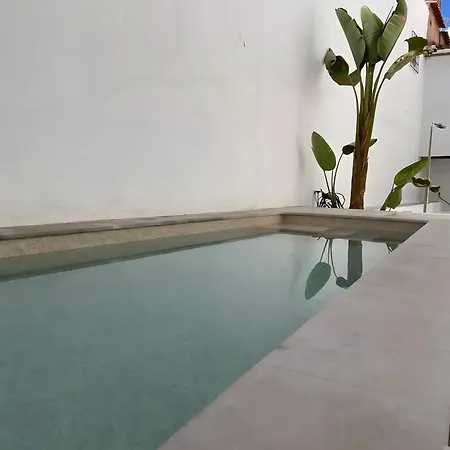 Karolvaz V 실베스